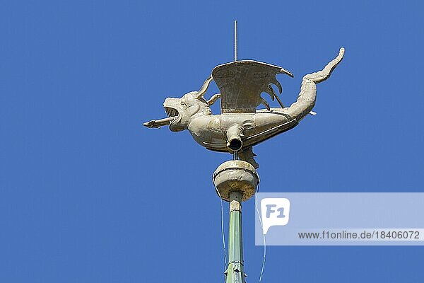 Dragon on spire of the belfry of Ghent  Gent against blue sky  East Flanders  Belgium  Europe