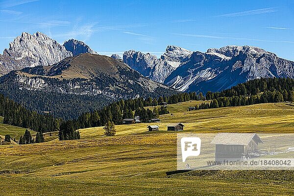 Herbstliche Almwiesen und Almhütten auf der Seiser Alm  hinten die Gipfel der Geisler- und der Putz-Gruppe  Grödnertal  Dolomiten  Südtirol  Italien  Europa