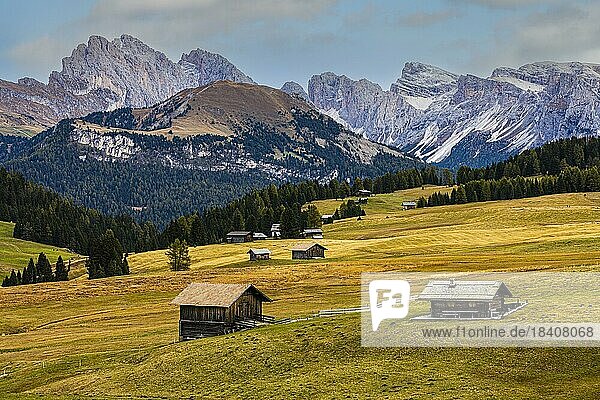 Herbstliche Almwiesen und Almhütten auf der Seiser Alm  hinten die schneebedeckten Gipfel der Geisler- und Puez-Gruppe  Grödnertal  Dolomiten  Südtirol  Italien  Europa