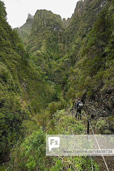 Wanderer an einem schmalen Wanderweg entlang einer Levada  bewaldete Berge und Schluchten  Levada do Caldeirão Verde  Parque Florestal das Queimadas  Madeira  Portugal  Europa