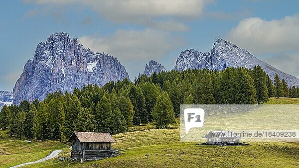 Herbstliche Wiesen und Almhütten auf der Seiser Alm  hinten die schneebedeckten Gipfel der Langkofelgruppe  Grödnertal  Grödnertal  Dolomiten  Südtirol  Italien  Europa