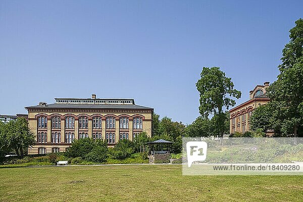 Museum für Völkerkunde der Universität Kiel  Walter-Gropius-Bau  Kieler Schlossgarten  Kiel  Schleswig-Holstein  Deutschland  Europa