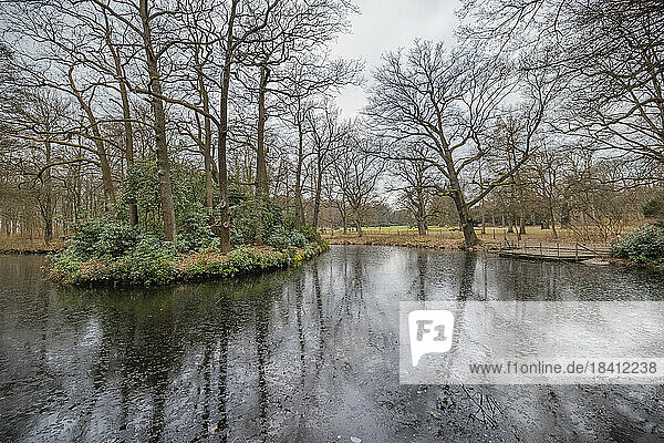 Wintertag im Hamburger Hirschpark. Eine dünne Eisdecke bedeckt den Teich im Vordergrund  die kahlen Äste der Baume spiegeln sich auf der der Fläche