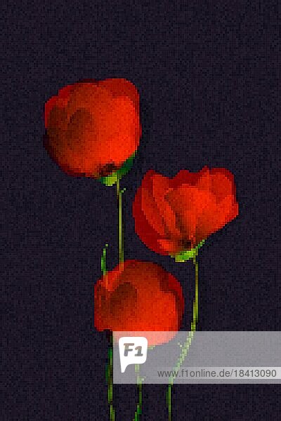 Rote Mohnblumen über einem drak Hintergrund  Pixel Kunst Illustration