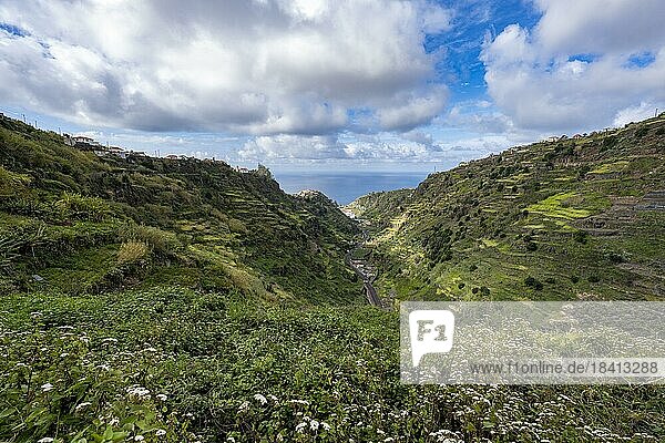 Ausblick in Schlucht  Berge mit Terassenanbau  Levada do Moinho  Ponta do Sol  Madeira  Portugal  Europa