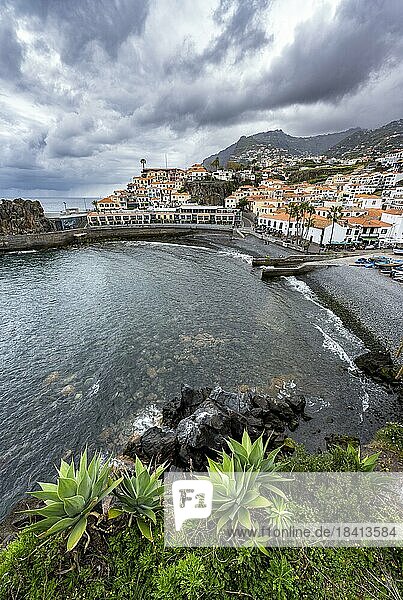 Hafen und Häuser  Ort Câmara de Lobos  Madeira  Portugal  Europa