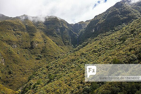 Luftaufnahme  Grüner Wald und Berge von Rabacal  Paul da Serra  Madeira  Portugal  Europa