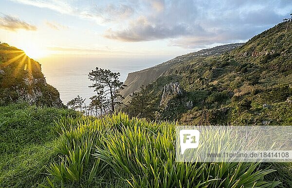 Abendstimmung  grüne Landschaft an Steilklippe  Meer und Küste  Aussichtspunkt Miradouro da Raposeira  Madeira  Portugal  Europa