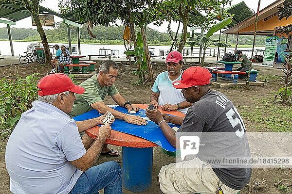 Tortuguero  Costa Rica  Men play dominoes in a small village on the Caribbean coast next to Tortuguero National Park  Central America