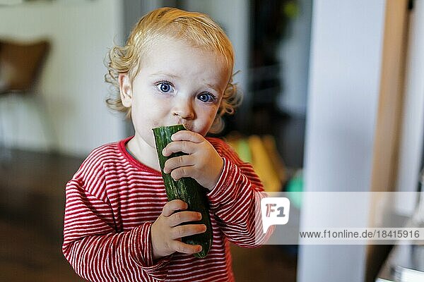 Little boy eating a snake cucumber  Bonn  Germany  Europe