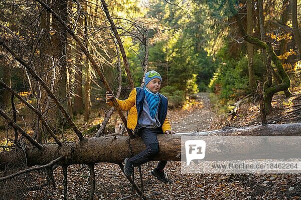 Little kid sitting on a fallen tree on a mountain trail. Fall season. Polish mountains  Poland  Europe