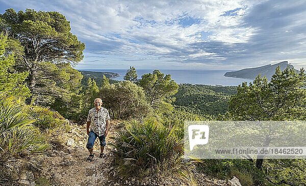 Wanderung nach la Trapa durch lichten Wald  hinten Insel Sa Dragenora  Mallorca  Spanien  Europa