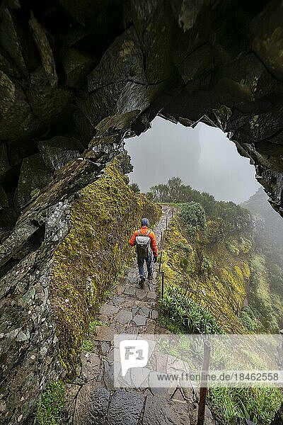 Hikers in the fog  tunnel on hiking trail  Pico Arieiro to Pico Ruivo hike  narrow exposed hiking trail on rocky cliff  Central Mountains of Madeira  Madeira  Portugal  Europe