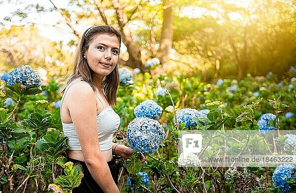 Frau in einem Hortensienfeld. Schönes Mädchen in einer natürlichen Blumengärtnerei. Porträt einer jungen Frau in einem Hortensienfeld. El Crucero  Managua  Nicaragua  Mittelamerika