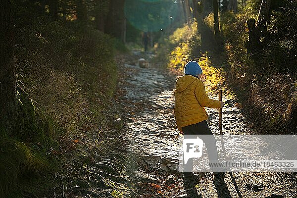 The little kid is walking the mountain trail. Fall season  Poland  Europe