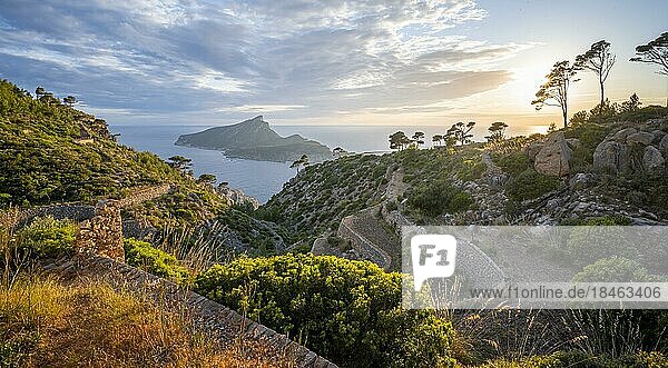La Trapp  Felsenküste mit einer Insel  Sonnenuntergang über dem Meer  Mirador Jose Sastre  Insel Sa Dragenora  Mallorca  Spanien  Europa
