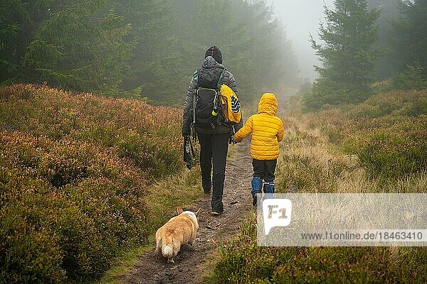 Eine Mutter und ihr kleiner Sohn gehen bei nassem Herbstwetter auf einen Bergpfad. Sie werden von einem Hund begleitet. Polnische Berge  Polen  Europa