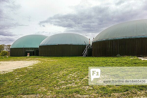 Biogasanlage  Dithmarschen  Schleswig-Holstein  Deutschland  Europa