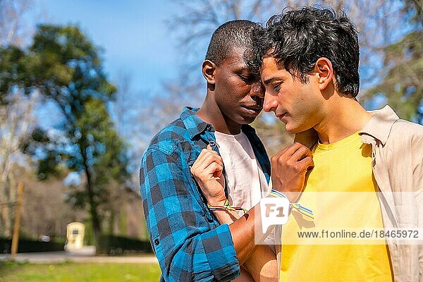 Multiethnic gay male couple on a romantic walk in the park  lgbt concept