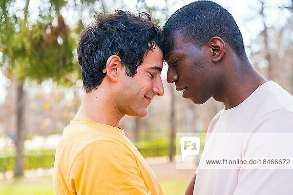 Lgbt concept  couple of multiethnic men in a park in a romantic pose under a tree