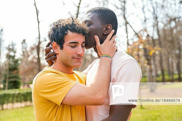 Lgbt Konzept  Paar multiethnische Männer in einem Park küssen sich auf die Stirn in einem Sonnenuntergang