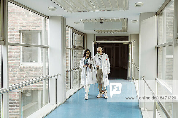 In voller Länge von weiblichen und männlichen Ärzten diskutieren über digitale Tablette beim Gehen zusammen im Krankenhaus Korridor