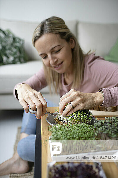Lächelnde Frau kümmert sich im Wohnzimmer um selbst angebaute Pflanzen