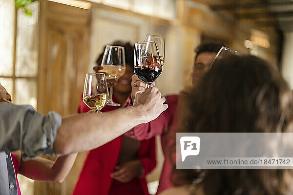 Young friends toasting wineglasses in restaurant