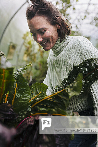 Lächelnde Frau kümmert sich um Gemüse im Garten