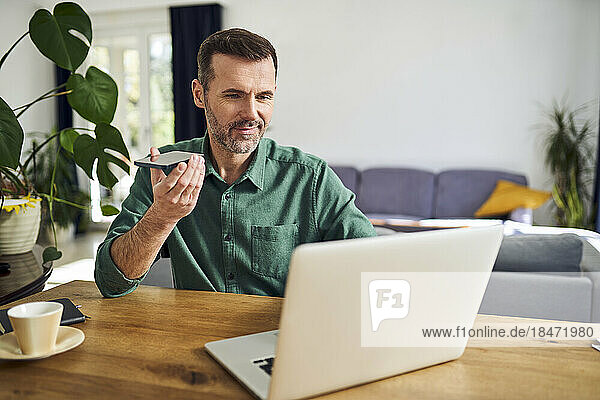 Smiling man talking on the phone while working at home on his laptop