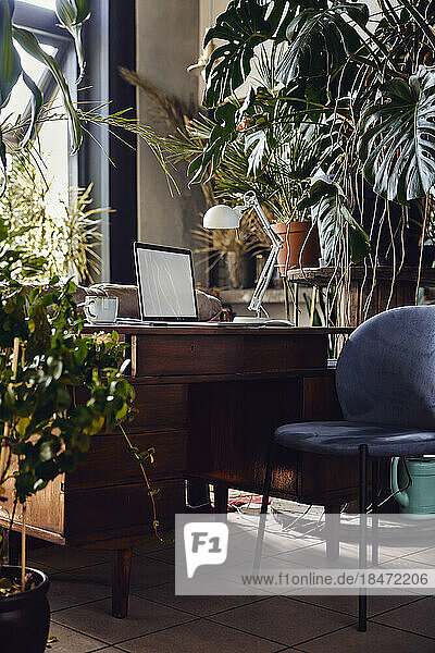 Laptop on desk amidst plants at loft office