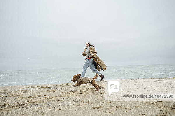 Junge Frau spielt mit Hund im Sand am Strand