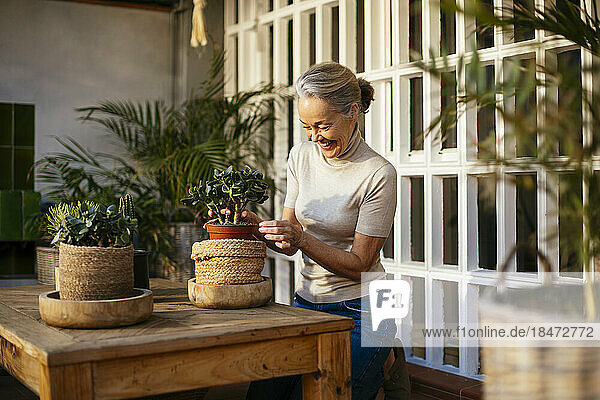 Lächelnde Frau kümmert sich am Tisch um Pflanzen