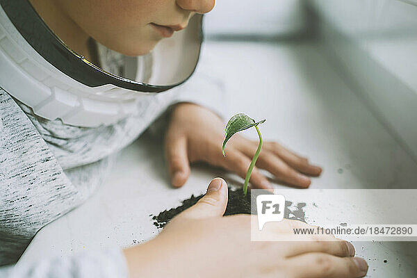 Junge mit Weltraumhelm blickt auf Pflanze