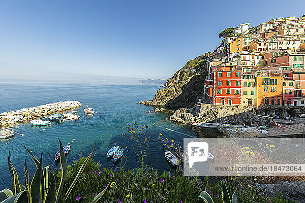 Italy  Liguria  Riomaggiore  Edge of coastal town along Cinque Terre