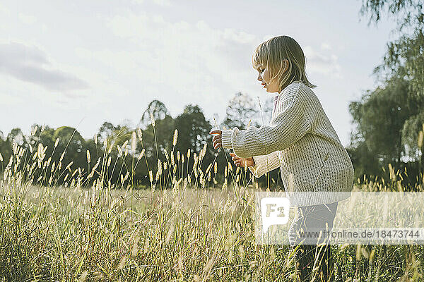 Mädchen spielt an einem sonnigen Tag auf dem Feld