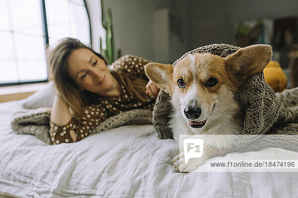 Dog with blanket sitting on bed by woman at home