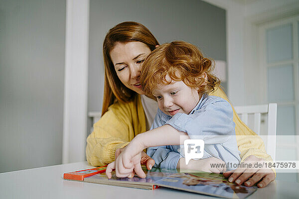 Mother and son reading children's book at home