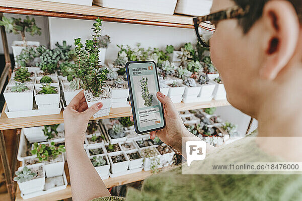 Woman identifying succulent plant through mobile phone at home