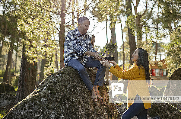 Mature man sitting on a rock giving a bonsai to woman
