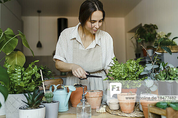 Woman with scissors taking care of potted plants at home