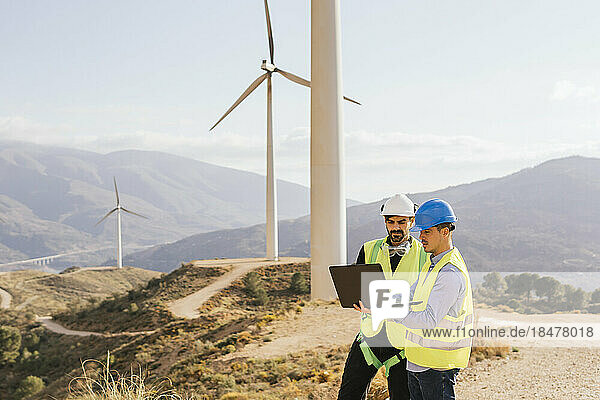Technician and engineer working on laptop in front of wind turbines