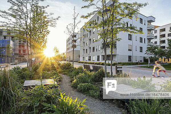 Germany  Bavaria  Munich  Benches in residential garden at sunset