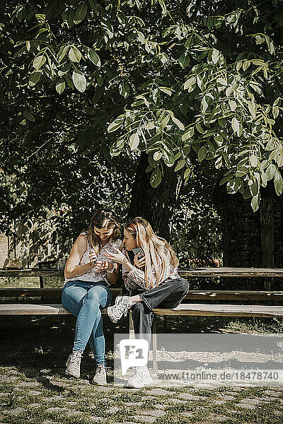 Woman sharing smart phone with friend sitting on bench under tree
