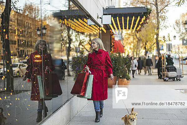 Mature woman carrying shopping bags walking with Chihuahua dogs on footpath