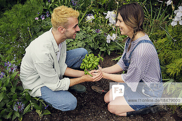 Romantisches Paar schaut sich an und hält Pflanze im Hinterhof
