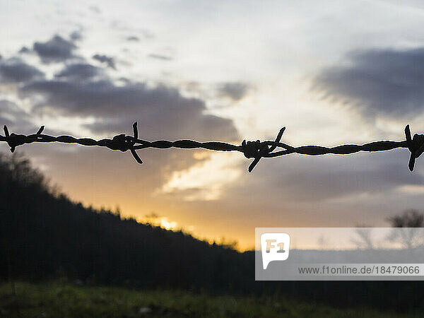 Barbed wire with sun setting in background