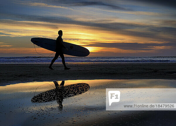 Silhouette of surfer walking on shore at beach