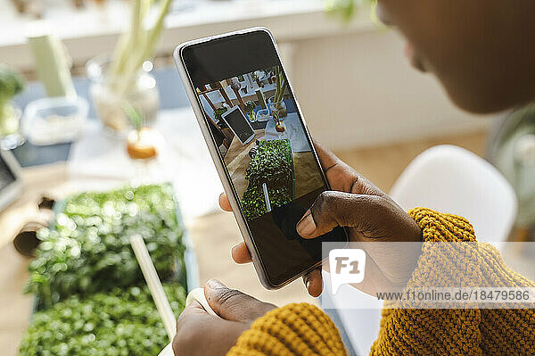 Woman photographing plants at home