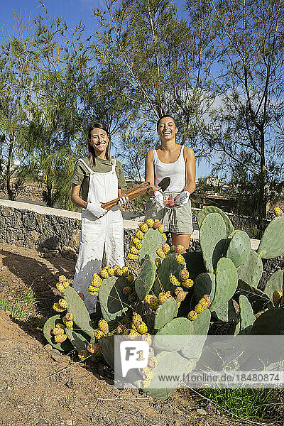 Happy women standing near cactus plants in garden